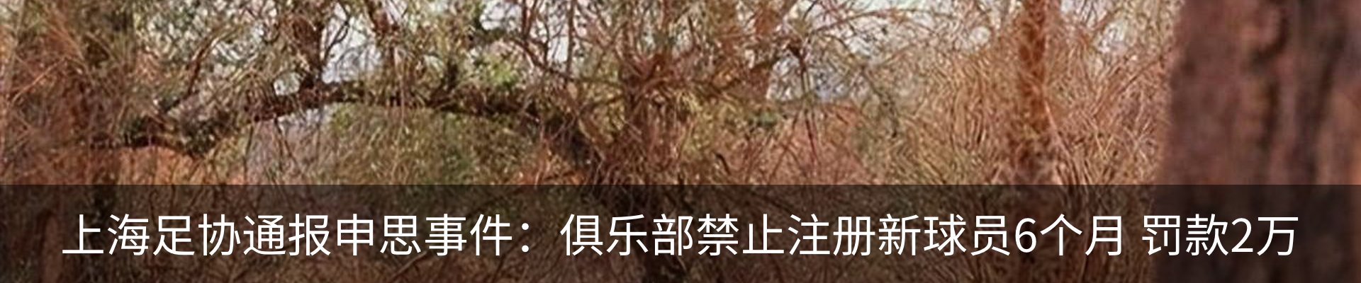 资讯动态