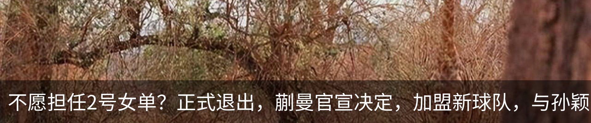资讯动态