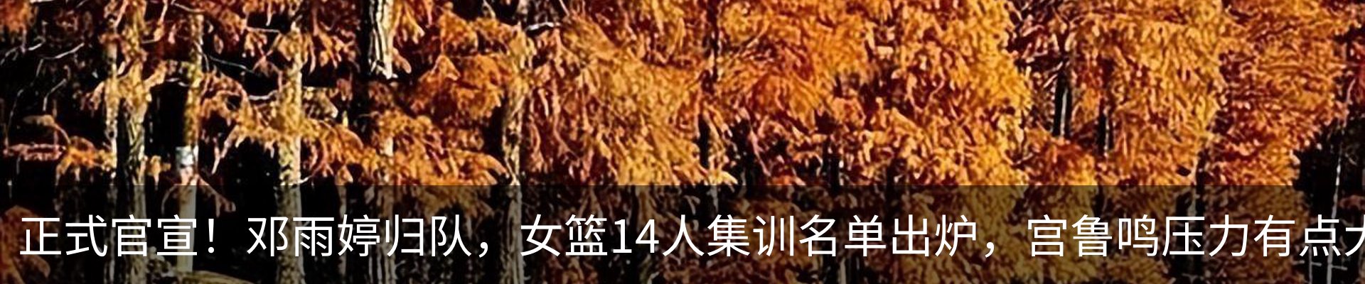 资讯动态